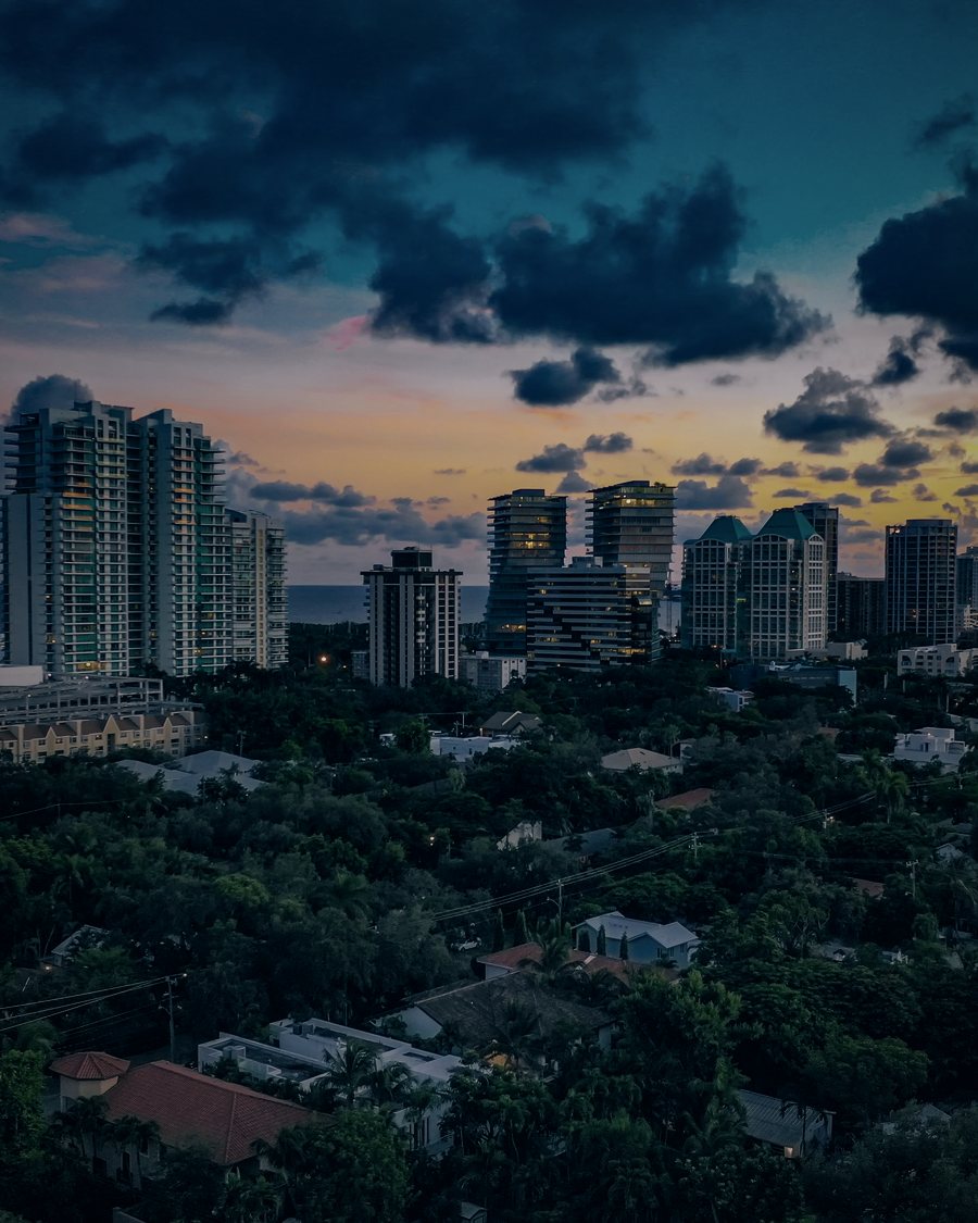 Coconut Grove from above, towers and tree canopy